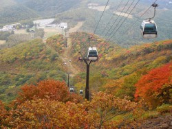 thumb_238_1024