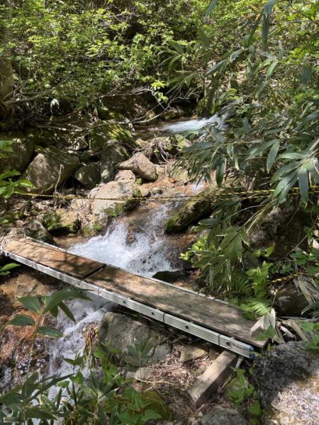 安達太良山塩沢コースは本日より開通します‼️