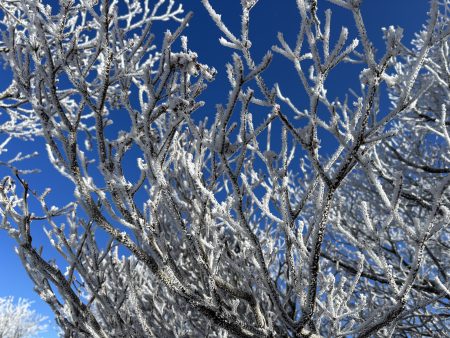 明後日から北日本は冬型気圧配置のようですね。先週末は小春日和に誘われて安達太良山に行ってきました。