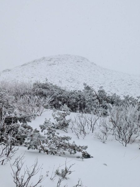 1月12日催行の安達太良山ボルケーノトレッキングツアーは一旦、中止 (順延)になりました。